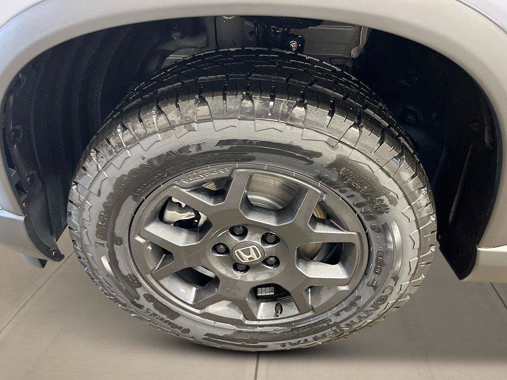 New 2026 Honda Pilot TrailSport image 12