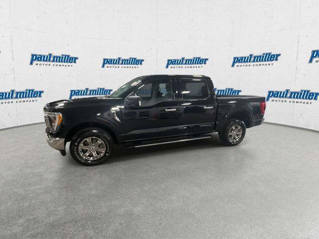Used 2021 Ford F150 XLT w/ Equipment Group 302A High AWD/4WD image 7