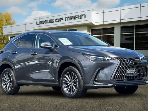 Used 2025 Lexus NX 350h AWD w/ Cold Area Package image 6