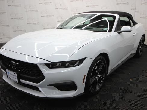 Used 2024 Ford Mustang Premium RWD image 1
