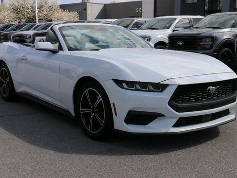 Used 2024 Ford Mustang Premium RWD image 4