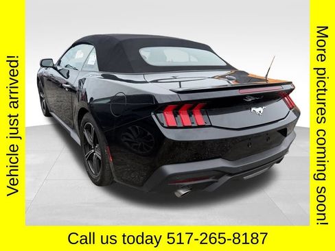 Used 2025 Ford Mustang Premium RWD image 4