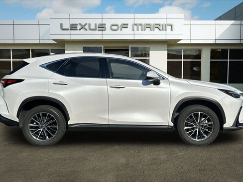 Used 2024 Lexus NX 350h AWD w/ Cold Area Package image 7