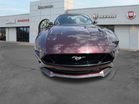 Used 2018 Ford Mustang GT Premium w/ Equipment Group 401A RWD image 2