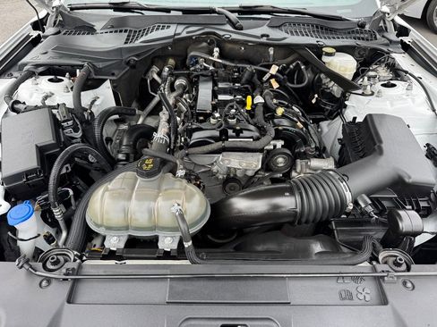 Used 2023 Ford Mustang Premium image 9