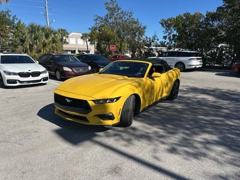 Used 2024 Ford Mustang Premium image 2