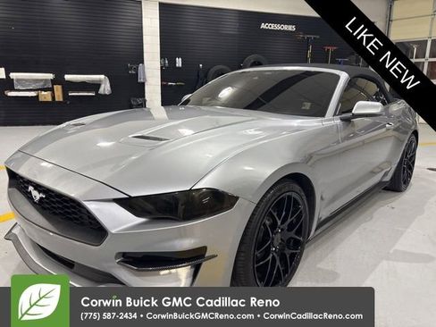 Used 2022 Ford Mustang EcoBoost w/ Equipment Group 101A image 1