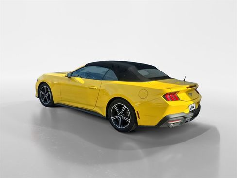 Used 2024 Ford Mustang Premium image 6