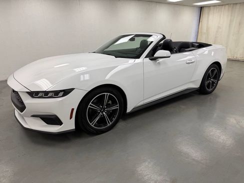Used 2025 Ford Mustang Premium RWD image 8