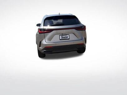 Used 2025 Lexus NX 350 AWD w/ Cold Area Package