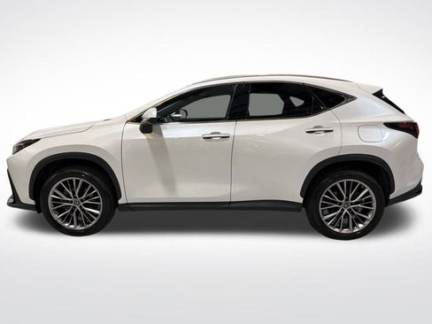 Used 2023 Lexus NX 350h 350h Luxury image 10