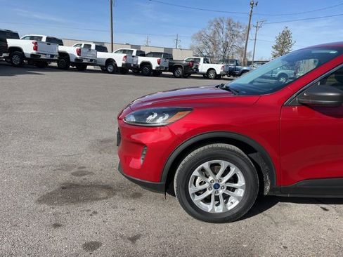 Used 2022 Ford Escape SE image 4