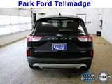 Used 2020 Ford Escape SE image 4