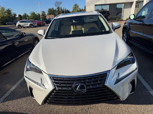 Used 2020 Lexus NX 300h AWD w/ Comfort Package image 2