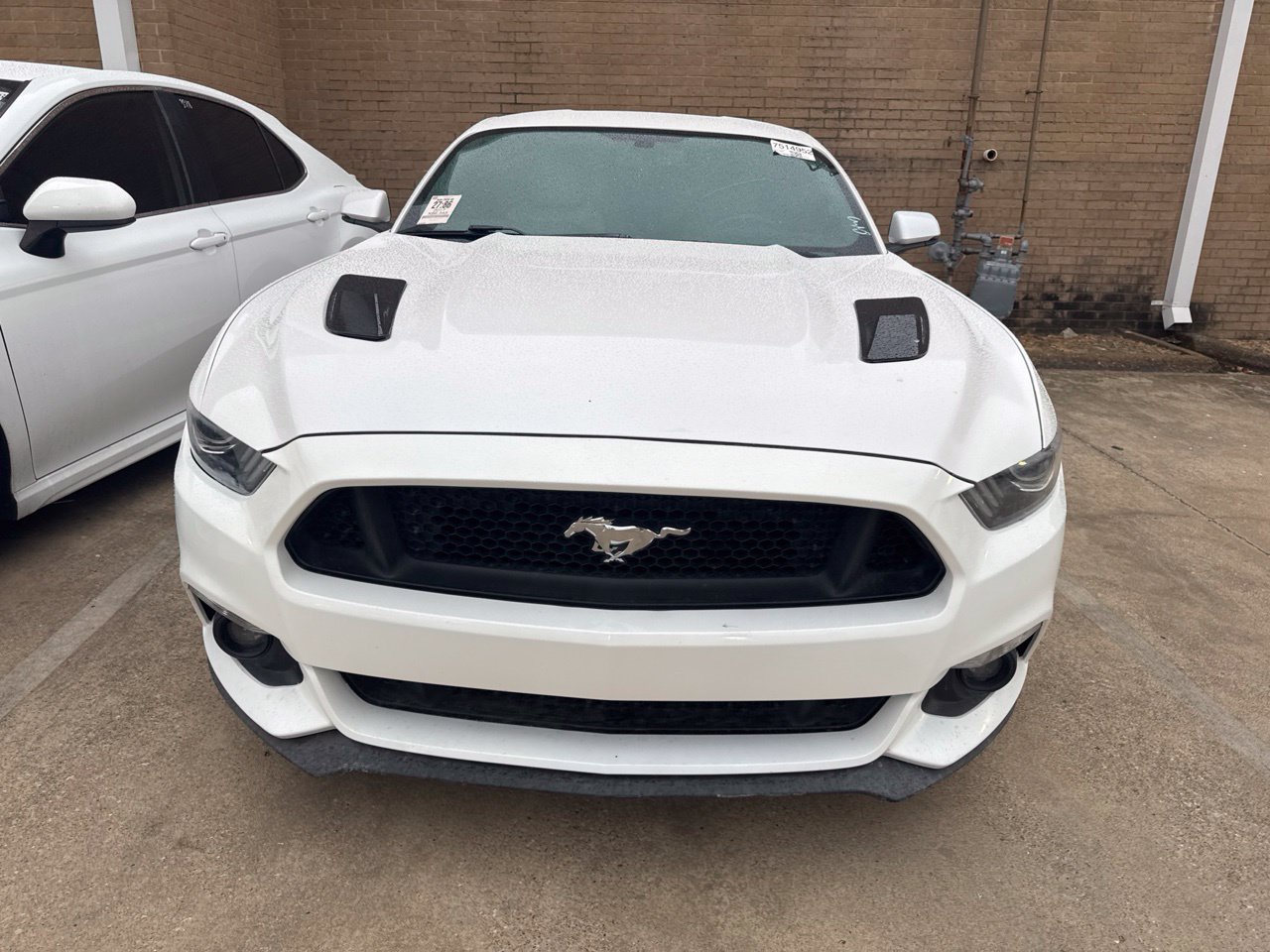 Used 2017 Ford Mustang GT Premium w/ Equipment Group 401A RWD image 2
