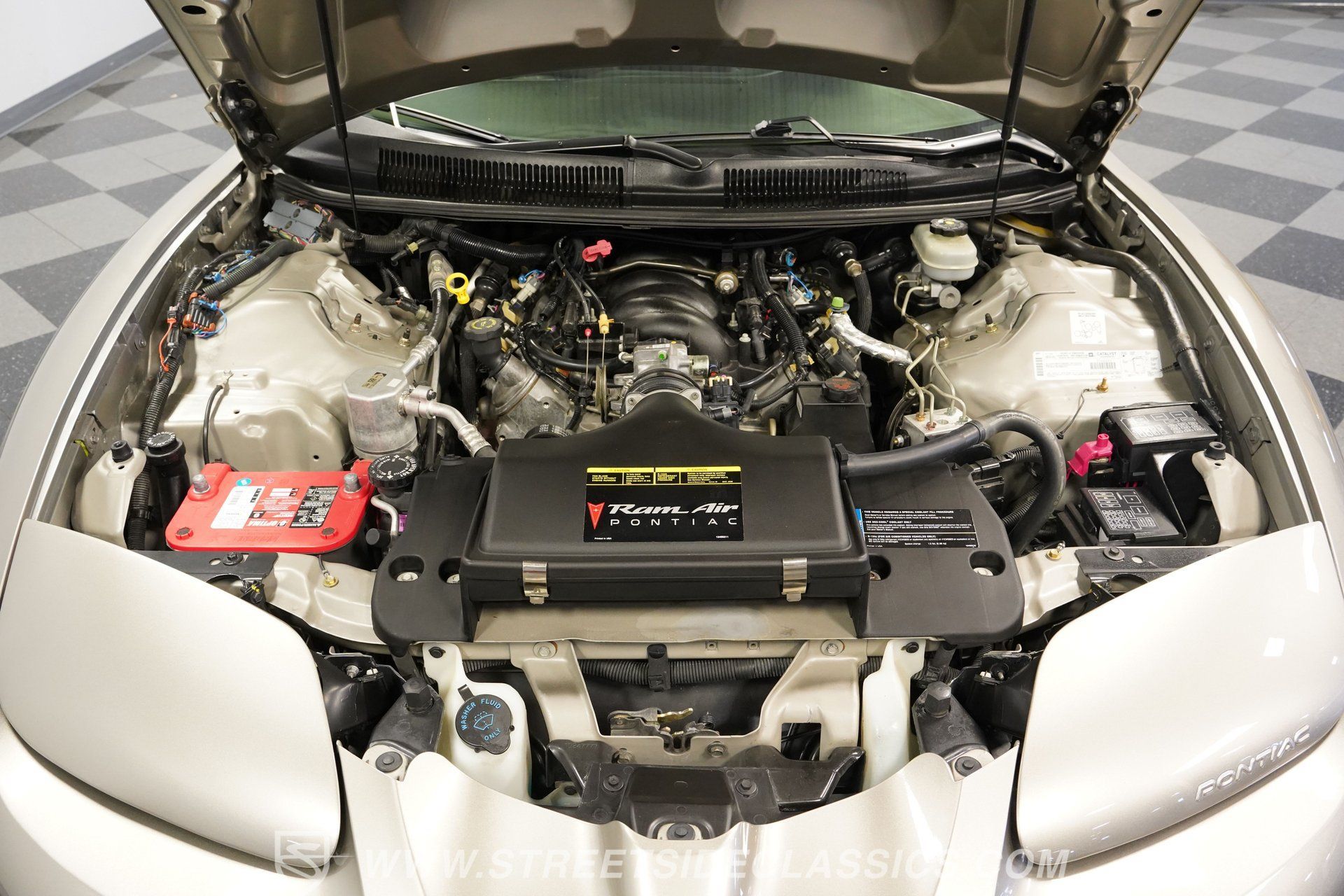 Used 2001 Pontiac Firebird Trans Am RWD image 34