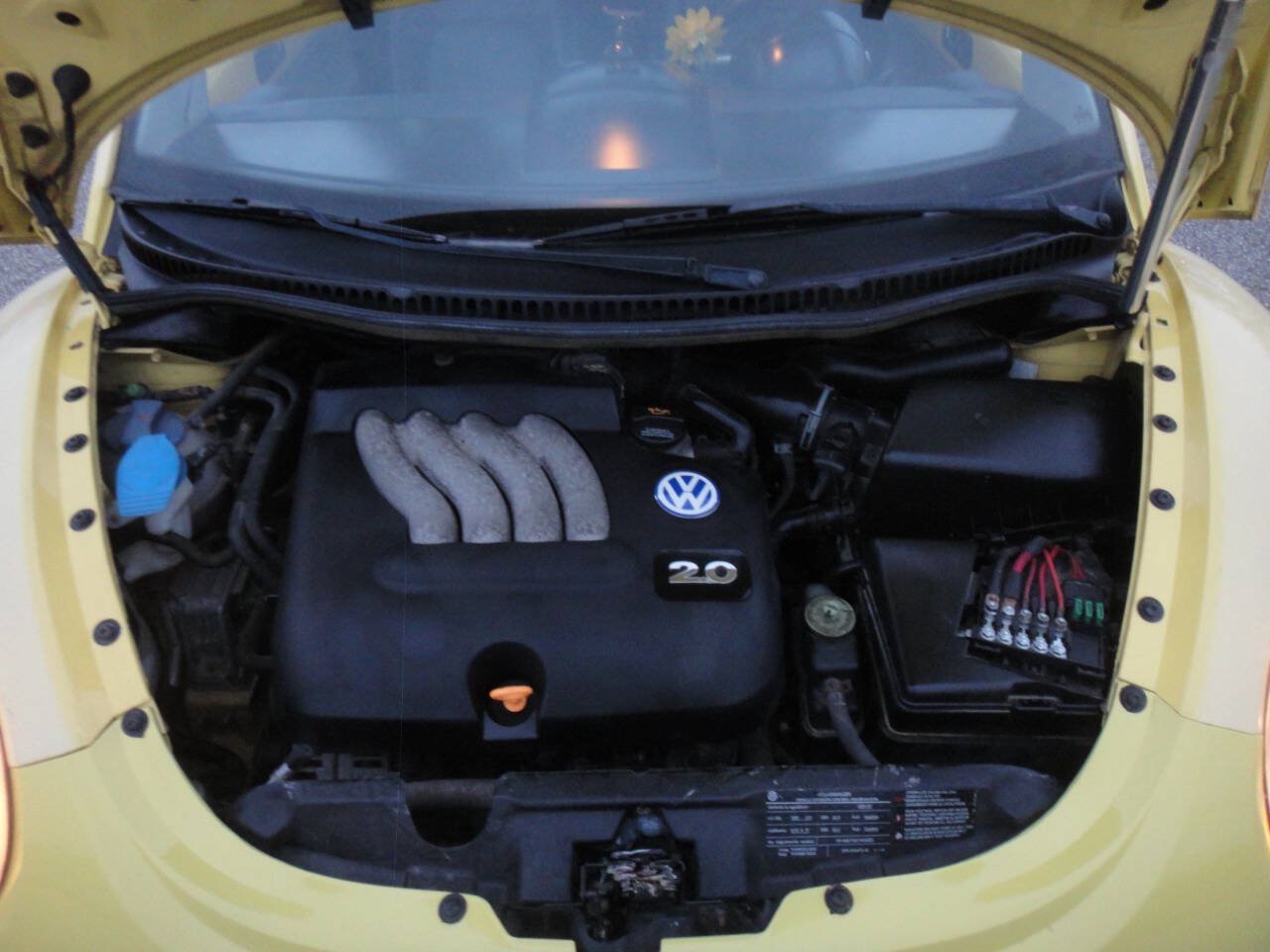 Used 2003 Volkswagen Beetle GLS FWD image 15