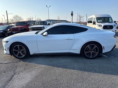Used 2024 Ford Mustang Coupe image 2