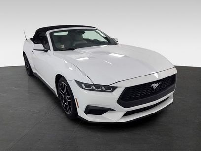 Used 2024 Ford Mustang Premium