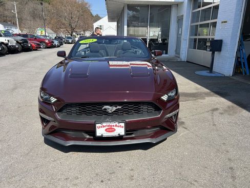 Used 2018 Ford Mustang Convertible w/ Ecoboost Performance Package image 8
