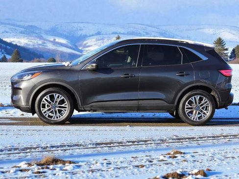 Certified 2020 Ford Escape SEL image 3