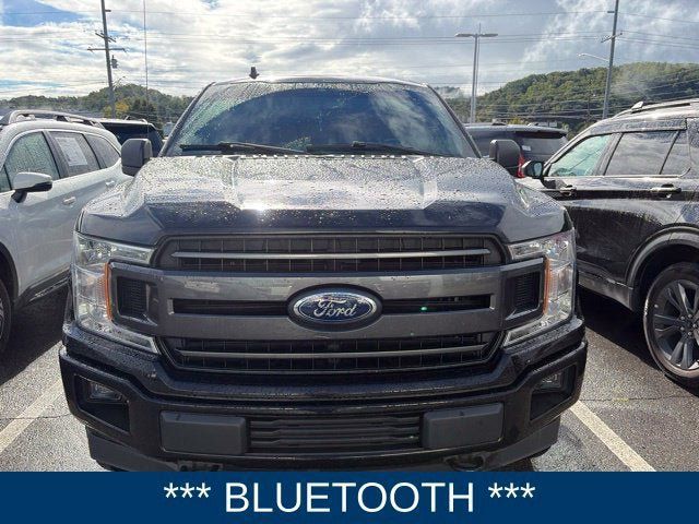 Used 2019 Ford F150 XLT w/ Equipment Group 302A Luxury AWD/4WD image 2