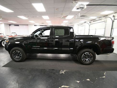 Certified 2023 Toyota Tacoma TRD Sport AWD/4WD image 5