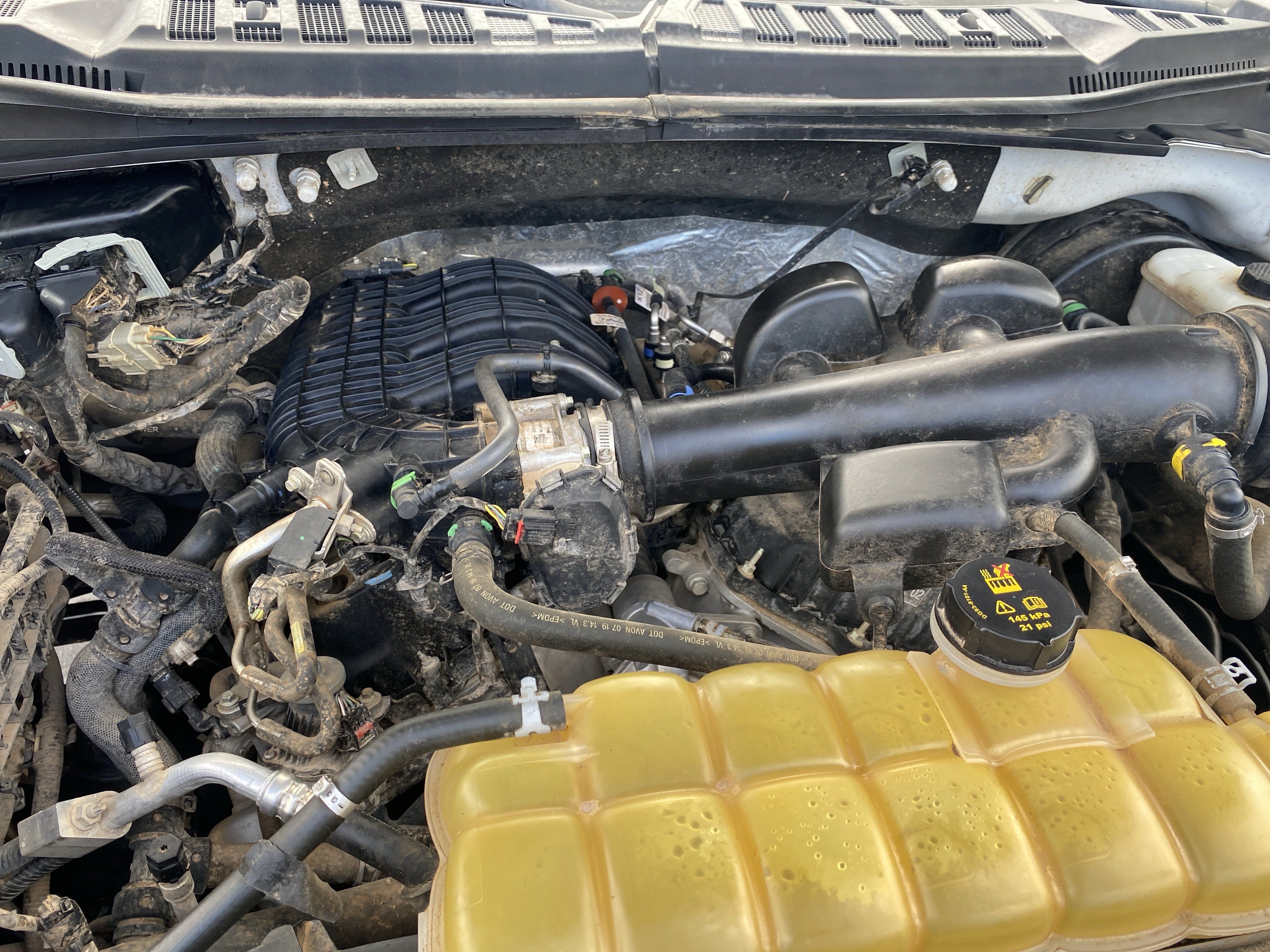 Used 2019 Ford F150 XL w/ Equipment Group 101A Mid RWD image 23
