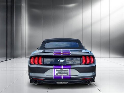 Used 2019 Ford Mustang Premium w/ Equipment Group 201A image 29