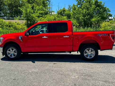 Used 2023 Ford F150 XLT w/ Equipment Group 302A High AWD/4WD image 6