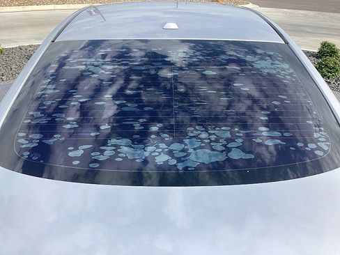 Used 2017 Nissan Sentra NISMO w/ NISMO Premium Package image 28