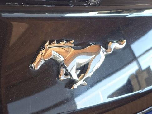 Used 2017 Ford Mustang Coupe image 31