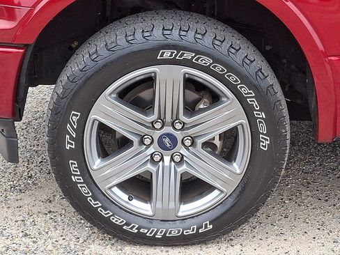 Used 2019 Ford F150 XLT w/ Equipment Group 302A Luxury AWD/4WD image 9
