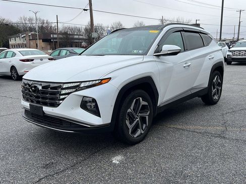 Used 2023 Hyundai Tucson Limited image 1