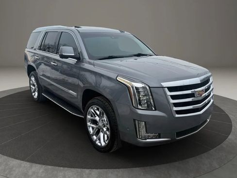 Used 2019 Cadillac Escalade Luxury image 5