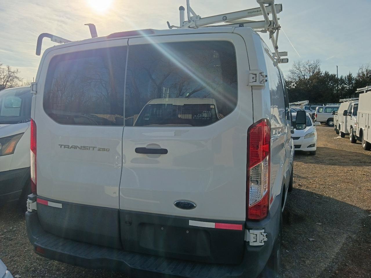 Used 2016 Ford Transit 250 130 Low Roof RWD image 3