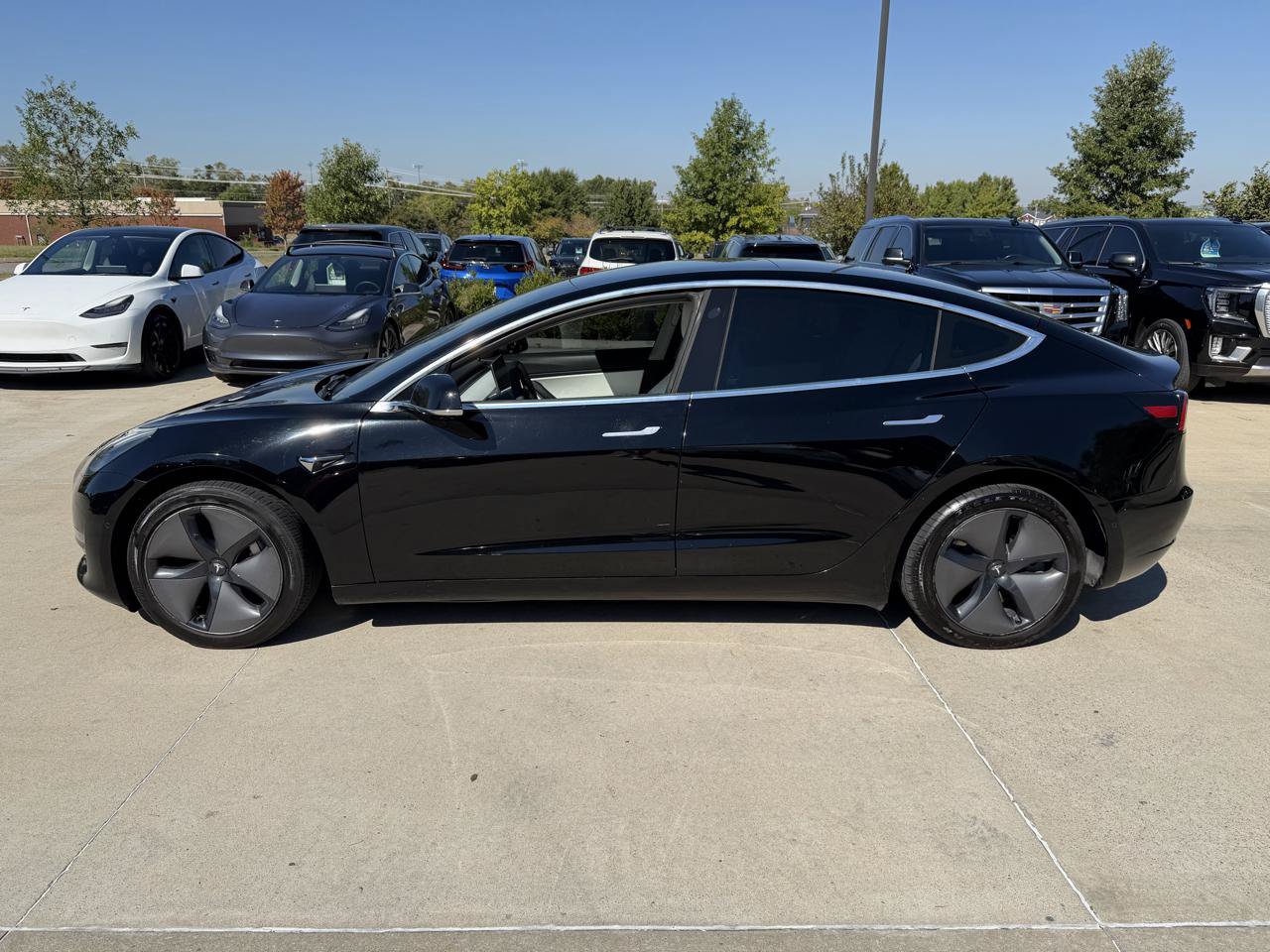Used 2020 Tesla Model 3 Long Range AWD/4WD image 5