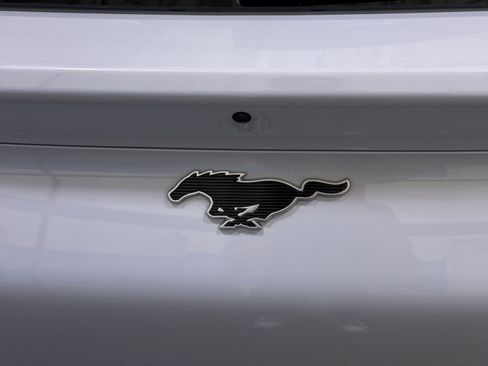 Used 2023 Ford Mustang Mach-E Premium AWD/4WD image 18
