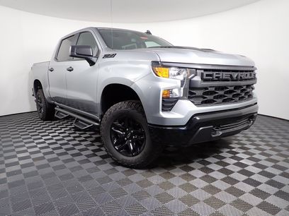 New 2025 Chevrolet Silverado 1500 Custom Trail Boss w/ Dark Appearance Package