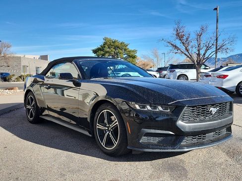 Used 2024 Ford Mustang Premium image 3