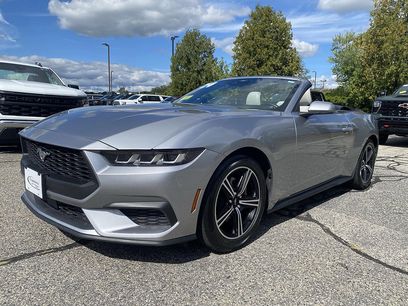 Used 2024 Ford Mustang Premium