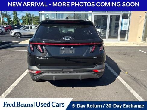 Used 2023 Hyundai Tucson Limited AWD/4WD image 7