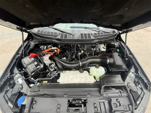 Used 2025 Ford F150 XLT w/ Equipment Group 301A Standard image 20