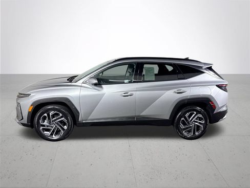 Used 2025 Hyundai Tucson Limited AWD/4WD image 9
