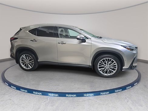 Certified 2025 Lexus NX 300h 350h Luxury image 4
