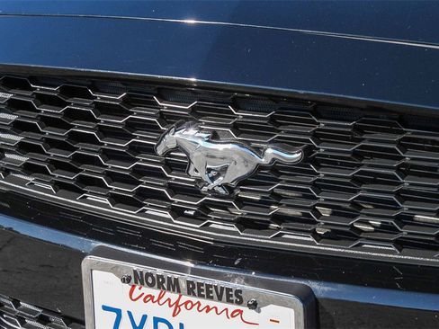Used 2017 Ford Mustang Premium image 6
