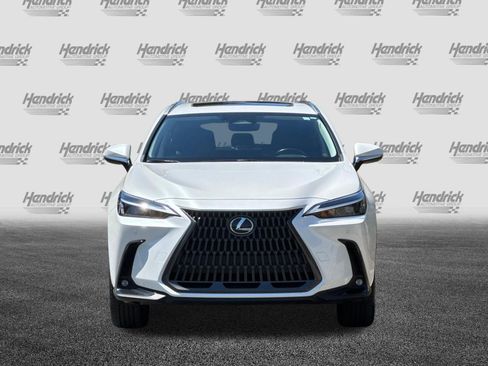 Used 2024 Lexus NX 350h AWD image 10