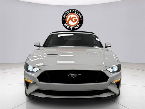 Used 2019 Ford Mustang GT Premium w/ Equipment Group 401A image 2