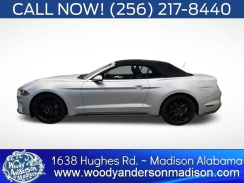 Used 2019 Ford Mustang Premium w/ Ecoboost Performance Package RWD image 3