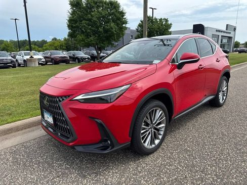 Used 2025 Lexus NX 350h AWD w/ Cold Area Package image 4